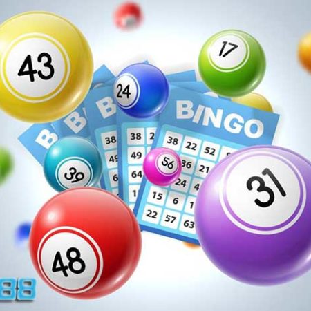 TOP mẹo Chơi Bingo trực tuyến chắc thắng tại nhà cái