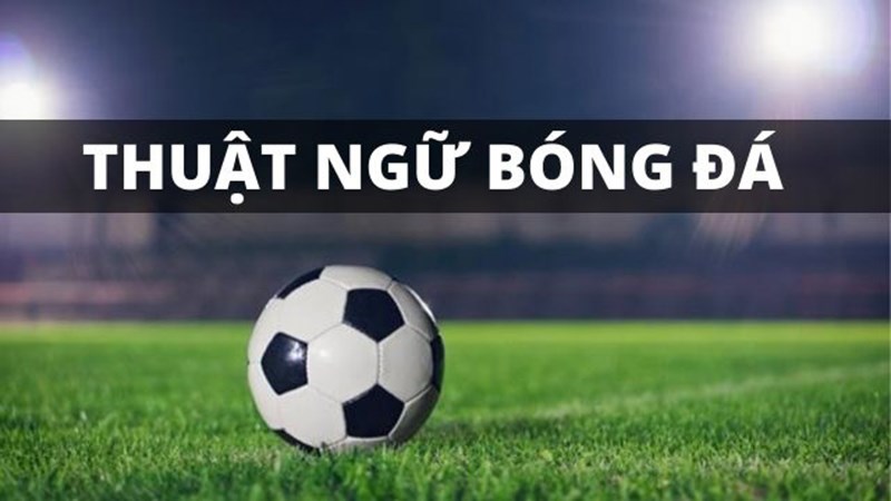 Những thuật ngữ thường dùng trong cá độ bóng đá