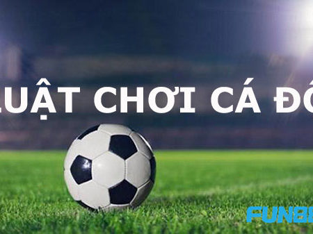 Tìm hiểu về Luật chơi cá độ bóng đá tại nhà cái cá cược